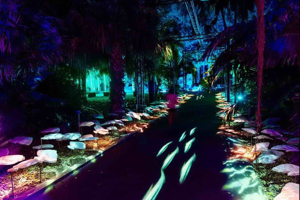 Eventos y espectaculos multimedia